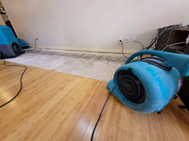 Professional Water Removal technician working in Medical Lake, WA